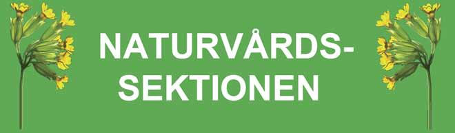 Rapport från Runstensfaddrarnas höstutflykt Lördagen den 29 september var vi ett gäng som var nyfikna på runstenar, runstenshällar och en hällristning i grannkommunen, Vallentuna.