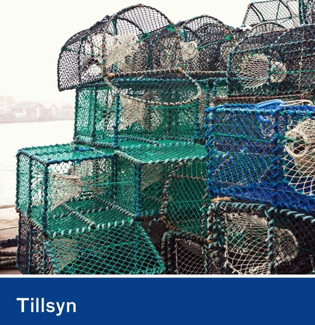 Tillsynsavdelningen Fiskerikontroll och fiskestopp Sanktioner för överträdelser inom yrkesfisket