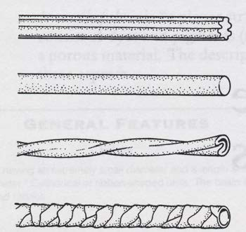 Del 1. TEXTIL MATERIALLÄRA NAMN/KOD: Fråga 1 5 p Placera följande fibrer under rätt rubrik: Sisal, lyocell, kupro, triacetat, elastan, modal, jute, aramid, viskos, cashmere.