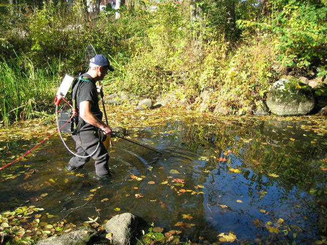 Elfisket i Stäholmsbäcken utfördes den 4 oktober 2007 vid provplatsen där även vattenprover för kemiska analyser tagits och bottenprover för inventering av bottenfaunan har gjorts.