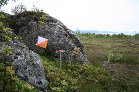 Stafett Vid stafett sker i allmänhet masstart för en eller flera klasser. De tävlande ställer upp vid sina kartor vid den tidpunkt före start som arrangör anger.