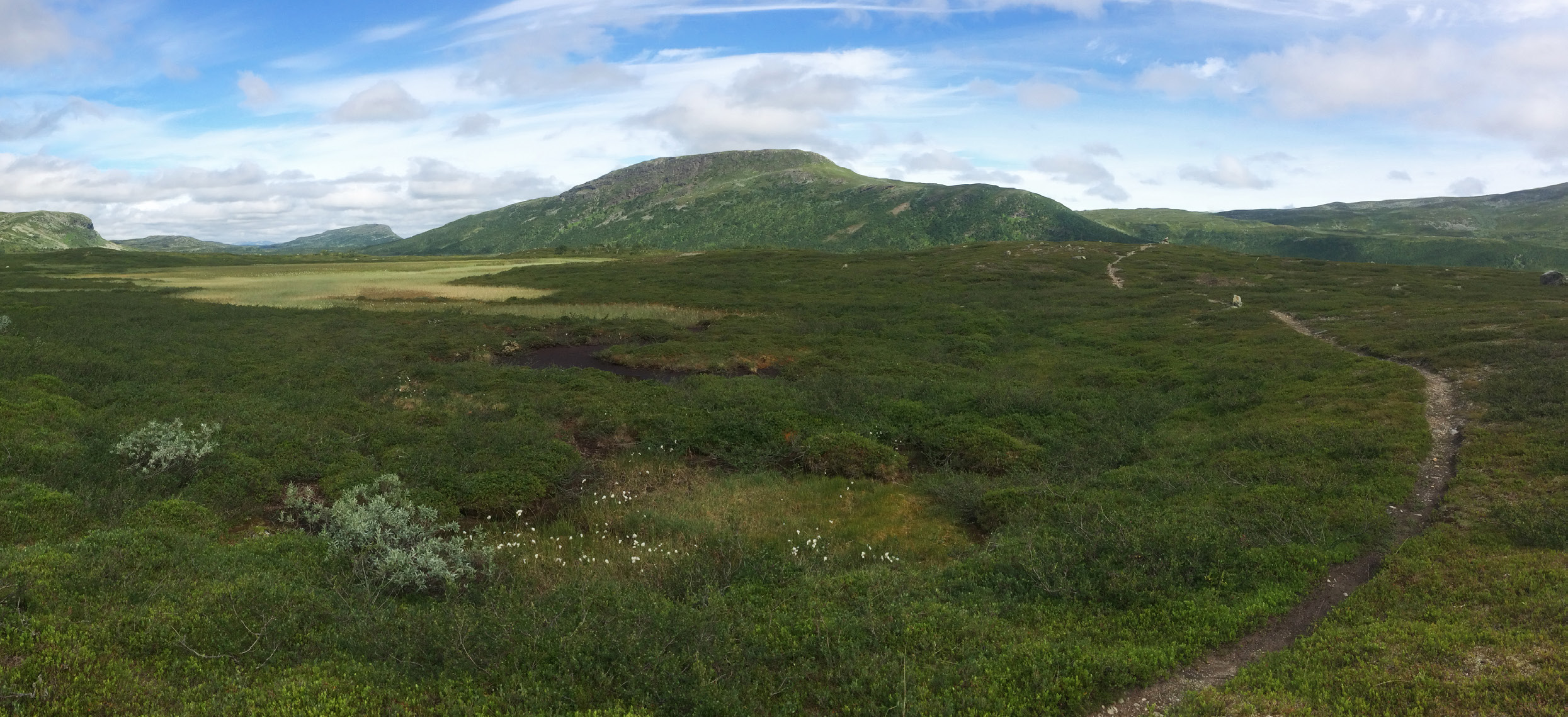 Sommarled i Borgafjäll, Västerbotten. Foto: Katarina Exkerberg Norrbotten 46 Västerbotten 57 Jämtland 83 Dalarna 39 Flera län 4 Med Norge/Finland 16 TOTALT 245 Tabell 1.