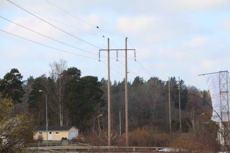 Fågellivet och skyddsåtgärder På ledningssträckan mellan Falkenberg N och Falkenberg S utgörs ledningsstolparna av träportalstolpar.