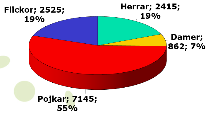 Licensutveckling 2000-talet Totalt A-licens B-licens Fördelning A-licens (senior) är över 16 år, Laglicens (ungdom) 15 år och yngre Jämförelsetal 2014-2015 Flickor 2225 st, 19 % Pojkar 6507 st, 54 %