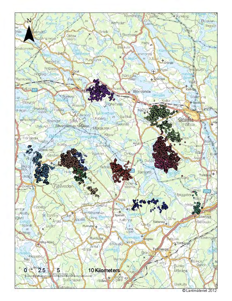 Märkning och vuxenöverlevnad Under perioden februari 2011-2012 följde vi 12 vuxna älgkor med GPS/GSM-halsband (Figur 1).