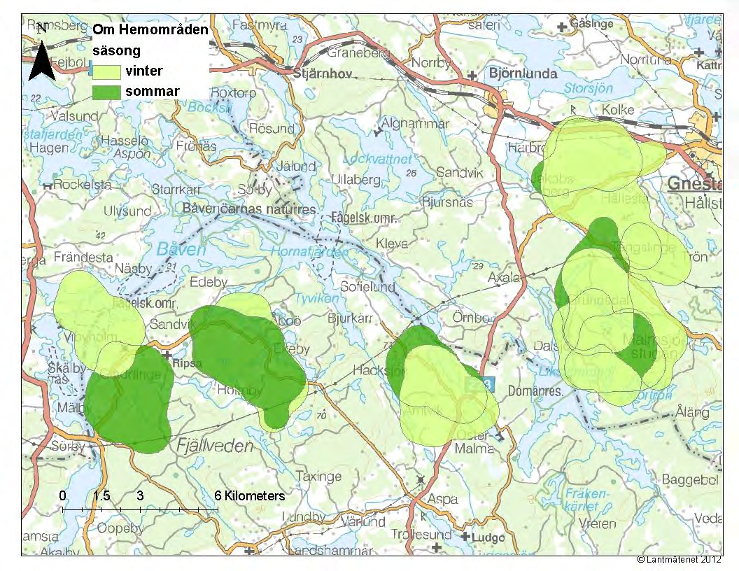 Vinter- och sommar områden En viktig del av forskningen är att ta fram grundläggande data om älgarnas hemområden och vilka biotoper de utnyttjar i hemområdena.