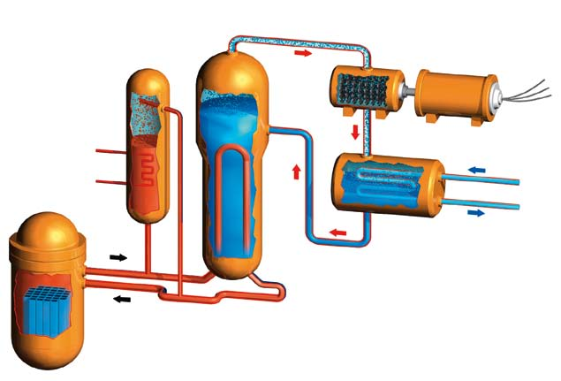 Principskiss Kokvattenreaktor Ringhals 1 Ångan leds till turbinanläggningen. Turbin Elgenerator Reaktortank Kärnklyvningen i bränslet alstrar värme. Värmen får vattnet att koka och ånga bildas.