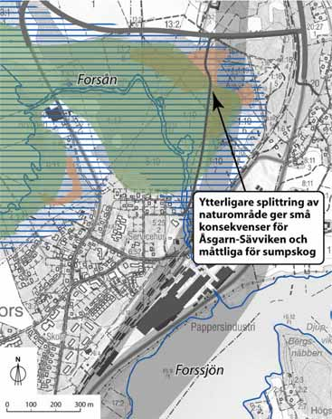 görs även för fågellivet. Totalt sett blir konsekvensen liten men för de fåglar som finns i sumpskogen bli konsekvensen stor. Se även kapitel 7.