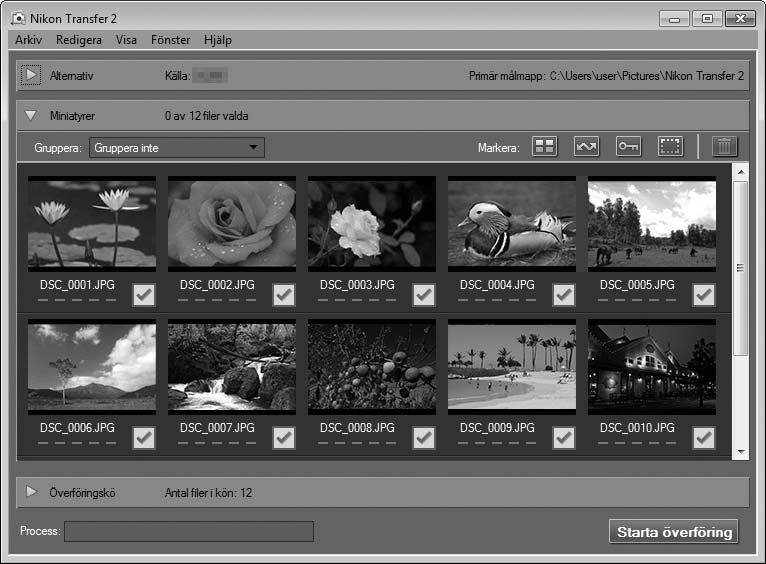 3 Klicka på Starta överföring. Med standardinställningarna kopieras bilder på minneskortet till datorn.