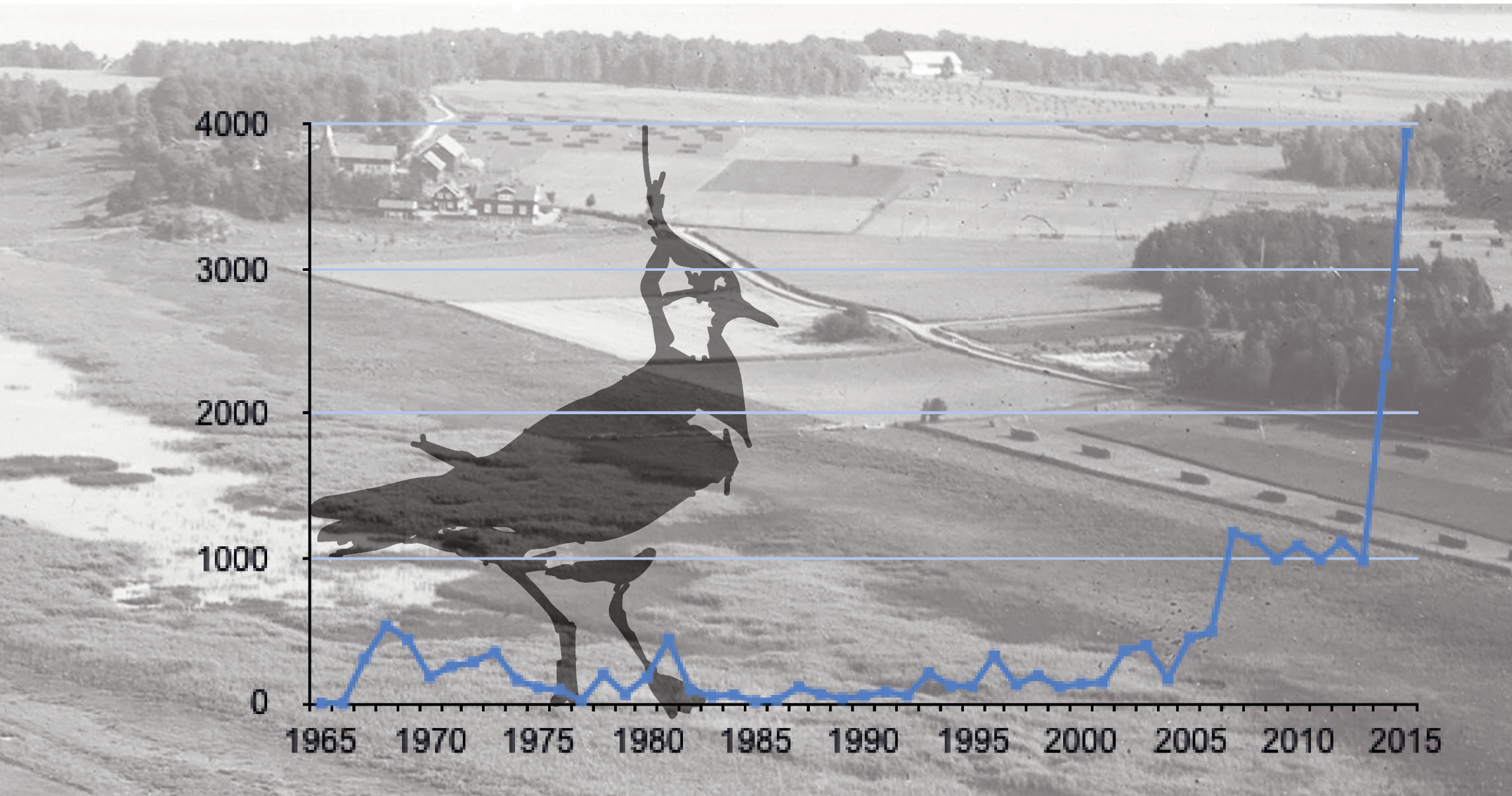 Antalet rapporter till Artportalen (fåglar) från 1965 till 2015 (till och med 14 oktober) Så en kväll ringde min mobil och meddelade att två bandvagnar med fräsaggregat var på väg mot Hammarskogs