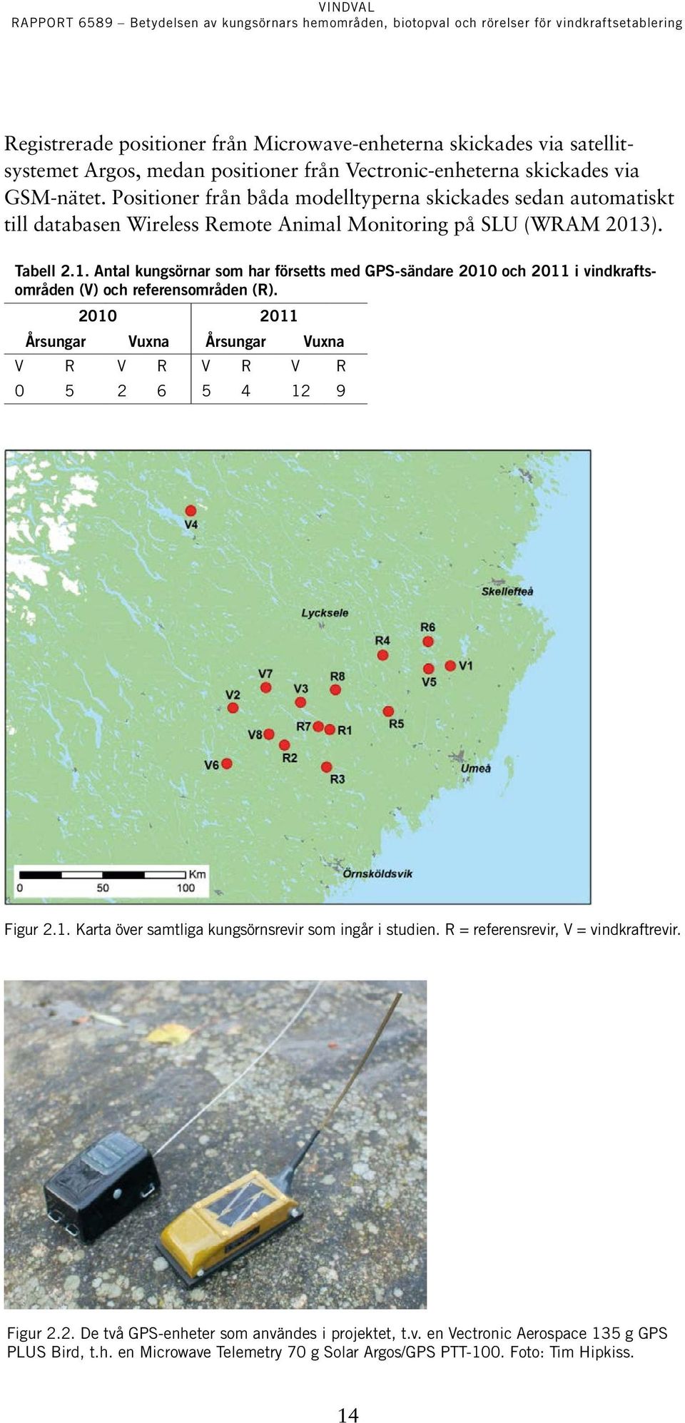 ). Tabell 2.1. Antal kungsörnar som har försetts med GPS-sändare 2010 och 2011 i vindkraftsområden (V) och referensområden (R).