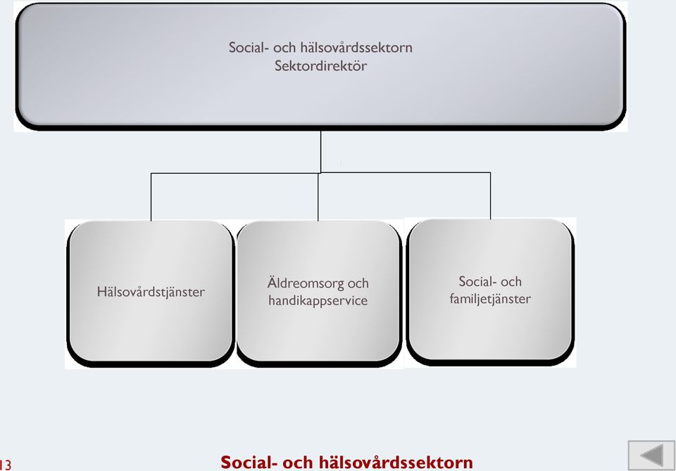 Äldreomsorg och handikappservice