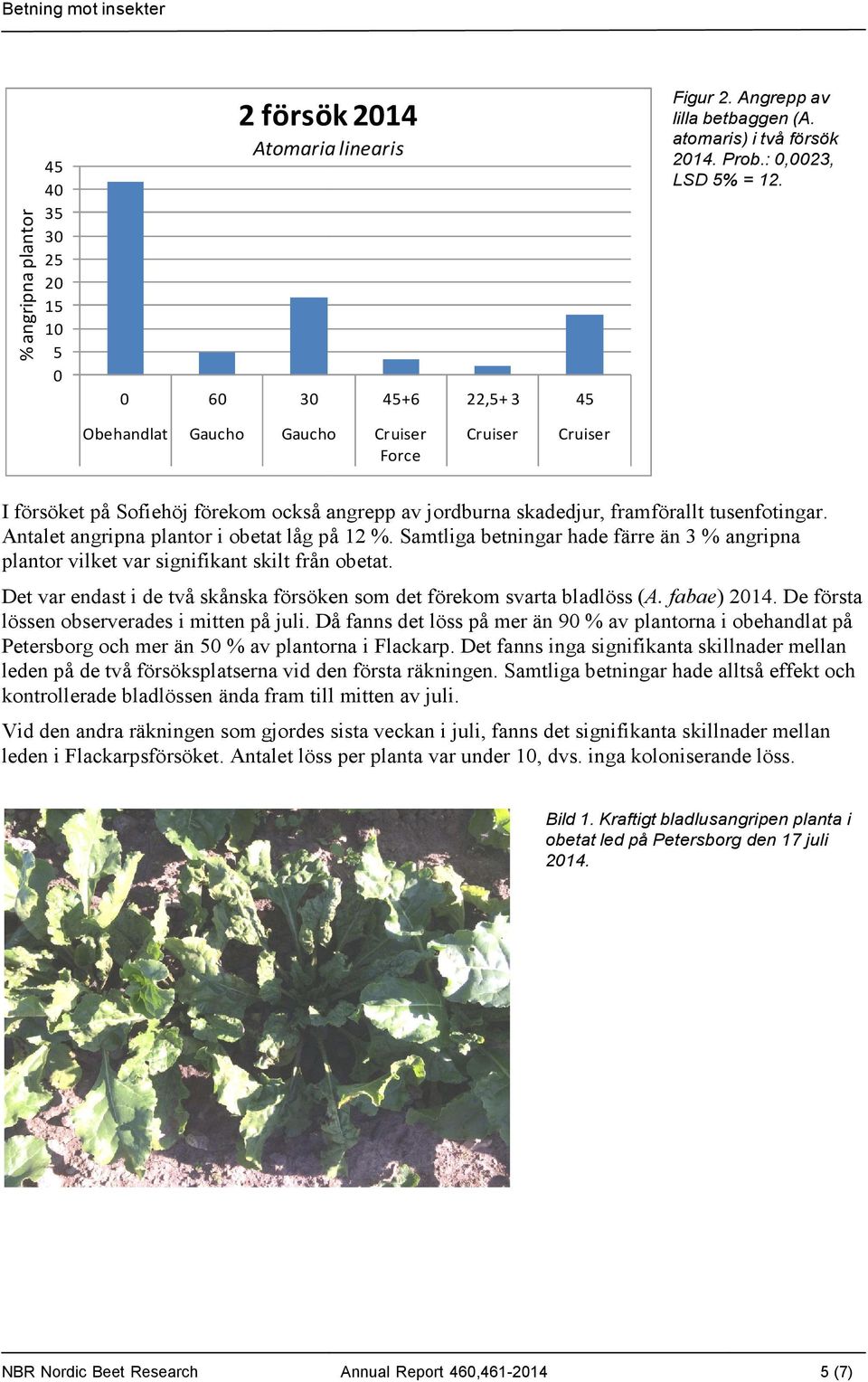 Samtliga betningar hade färre än 3 % angripna plantor vilket var signifikant skilt från obetat. Det var endast i de två skånska försöken som det förekom svarta bladlöss (A. fabae) 2014.
