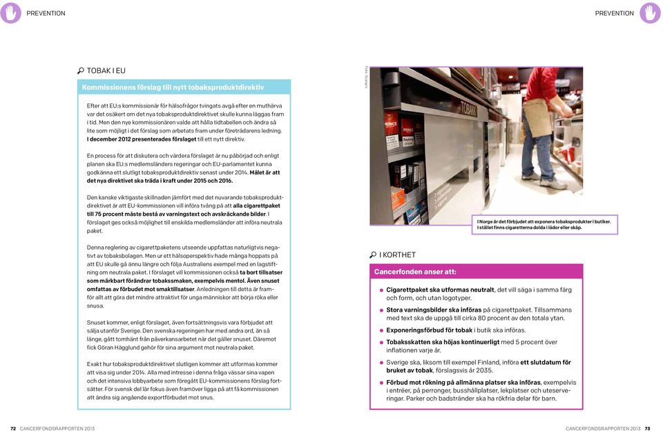 Men den nye kommissionären valde att hålla tidtabellen och ändra så lite som möjligt i det förslag som arbetats fram under företrädarens ledning.