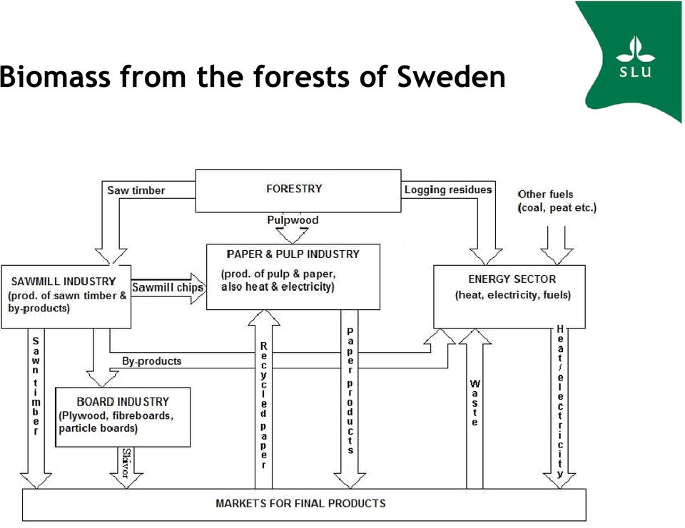 forests