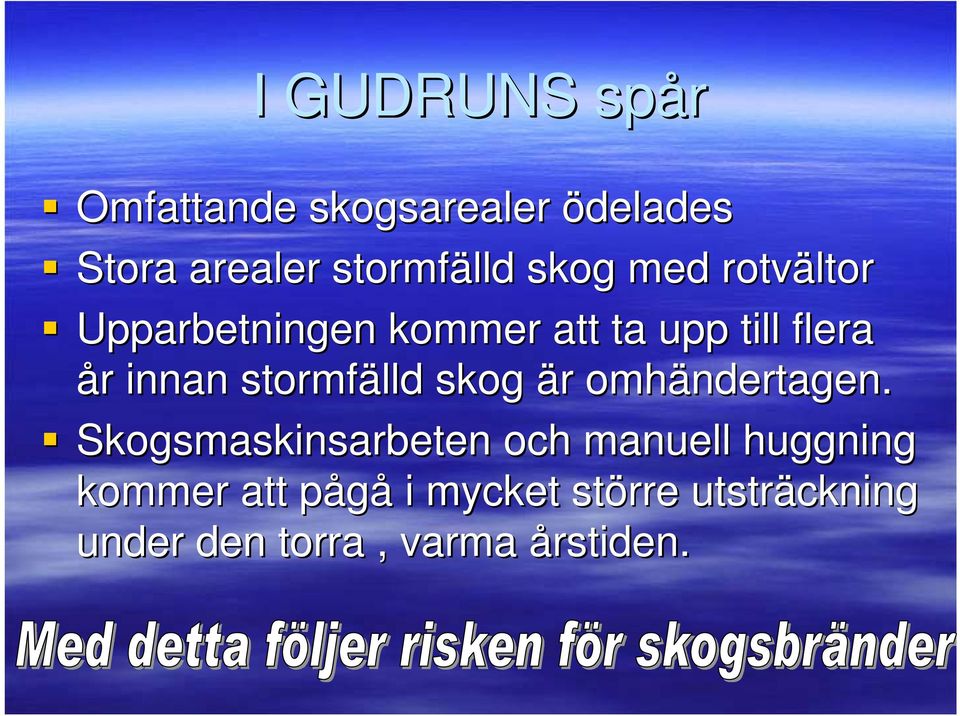 stormfälld skog är omhändertagen.