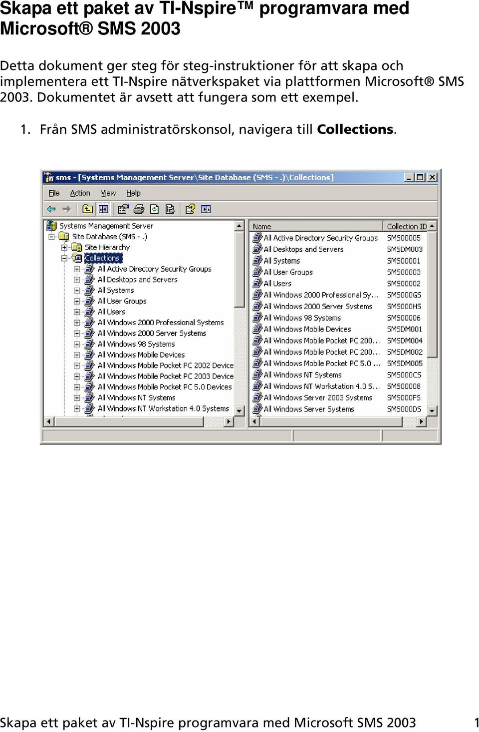 Microsoft SMS 2003. Dokumentet är avsett att fungera som ett exempel. 1.