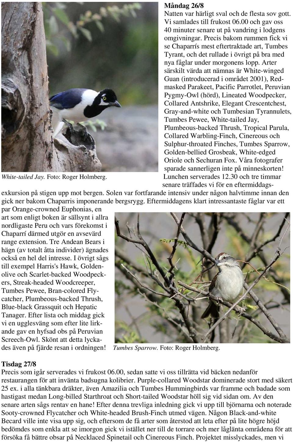 Arter särskilt värda att nämnas är White-winged Guan (introducerad i området 2001), Redmasked Parakeet, Pacific Parrotlet, Peruvian Pygmy-Owl (hörd), Lineated Woodpecker, Collared Antshrike, Elegant