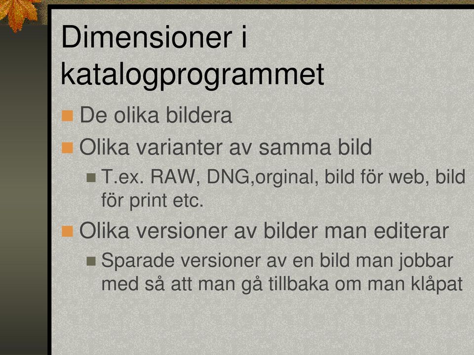 RAW, DNG,orginal, bild för web, bild för print etc.