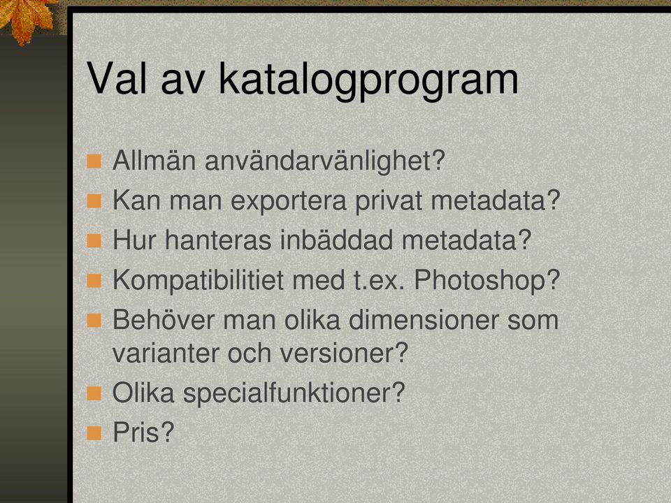 Hur hanteras inbäddad metadata? Kompatibilitiet med t.ex.