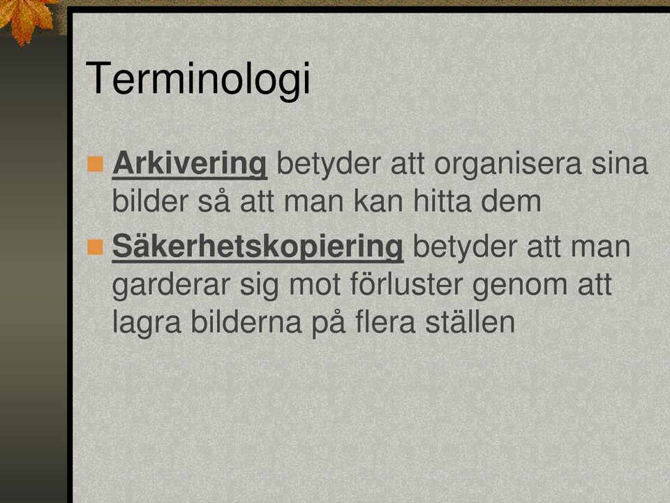 Säkerhetskopiering betyder att man garderar