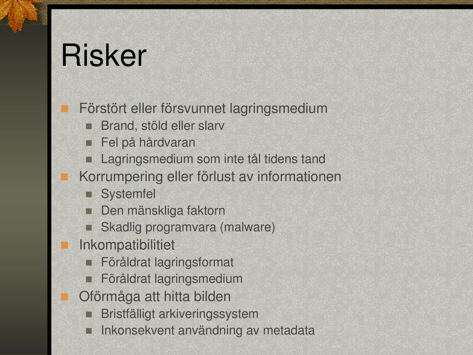 mänskliga faktorn Skadlig programvara (malware) Inkompatibilitiet Föråldrat lagringsformat