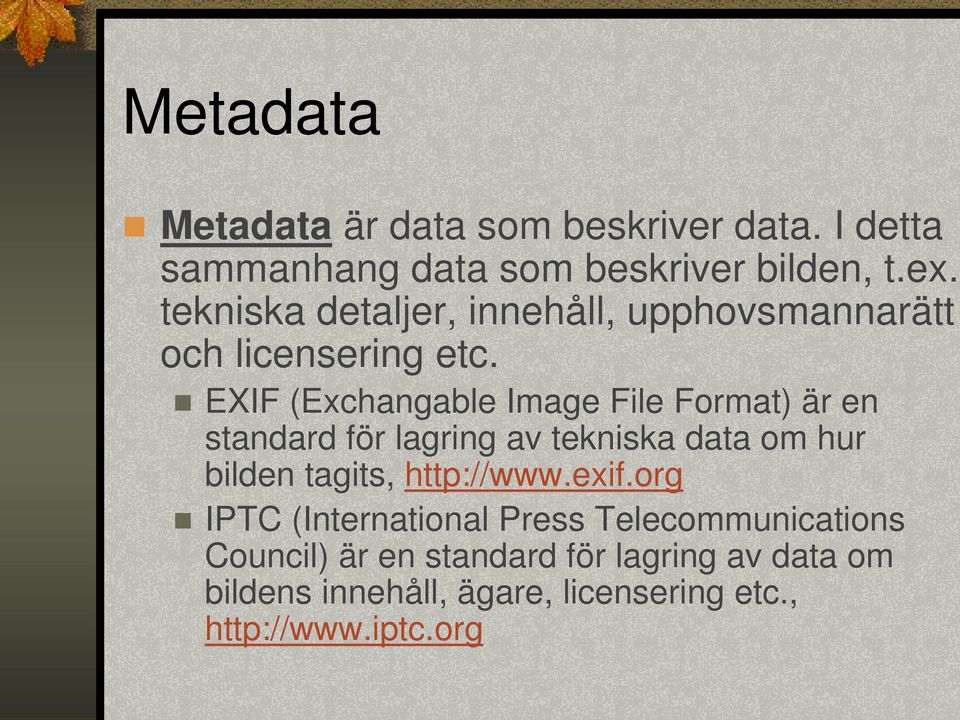 EXIF (Exchangable Image File Format) är en standard för lagring av tekniska data om hur bilden tagits,