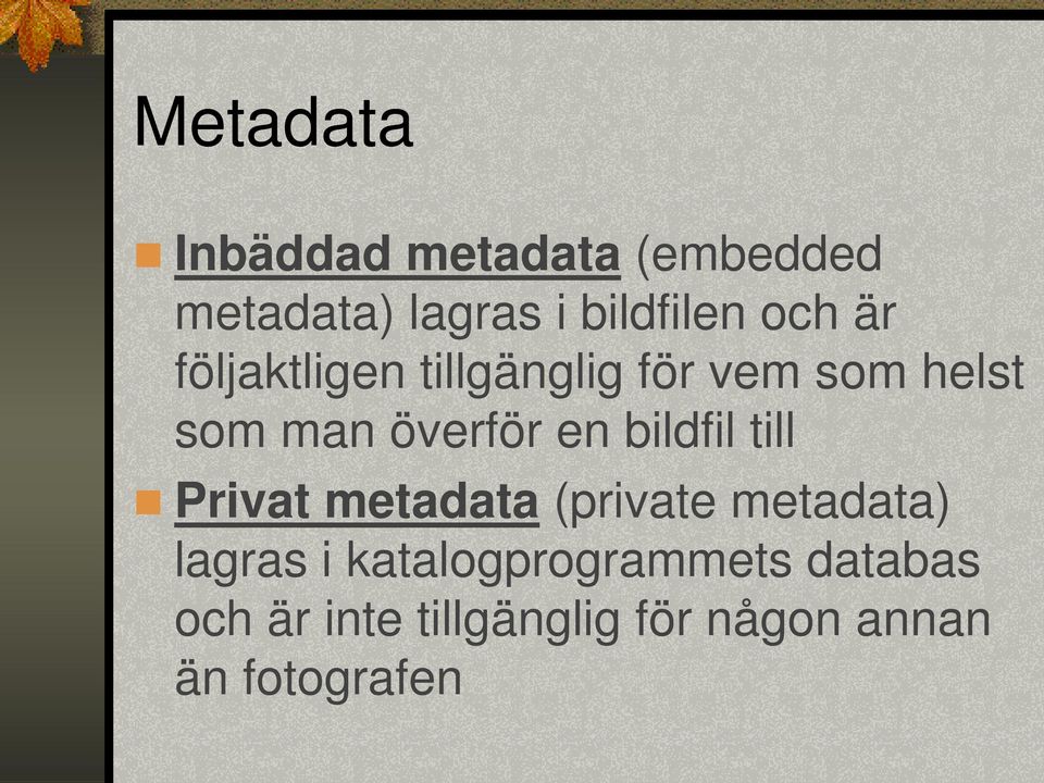 en bildfil till Privat metadata (private metadata) lagras i