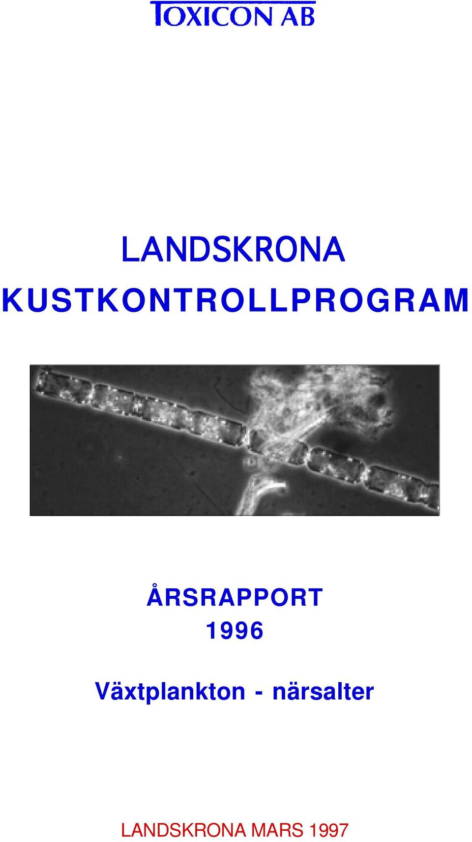 ÅRSRAPPORT 1996