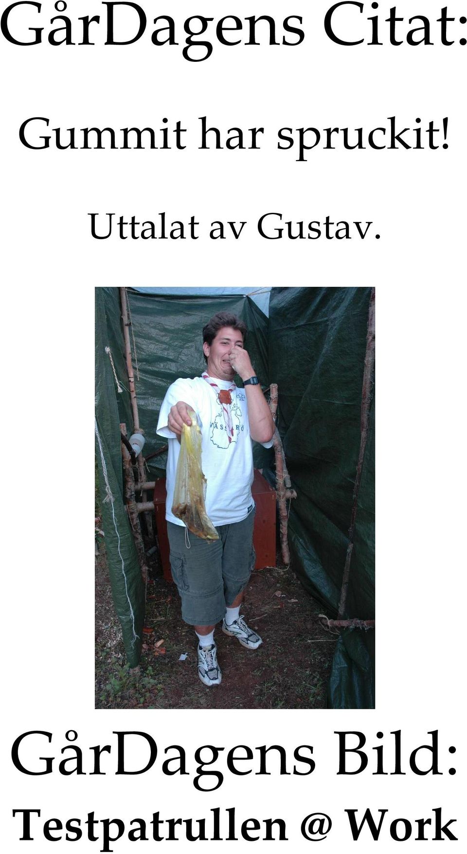 Uttalat av Gustav.