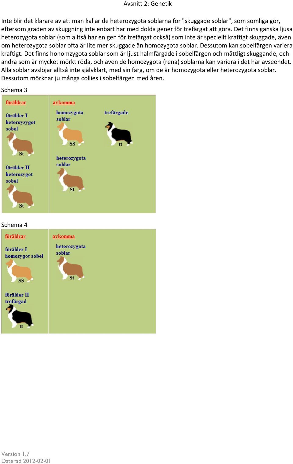 Det finns ganska ljusa heterozygota soblar (som alltså har en gen för trefärgat också) som inte är speciellt kraftigt skuggade, även om heterozygota soblar ofta är lite mer skuggade än homozygota