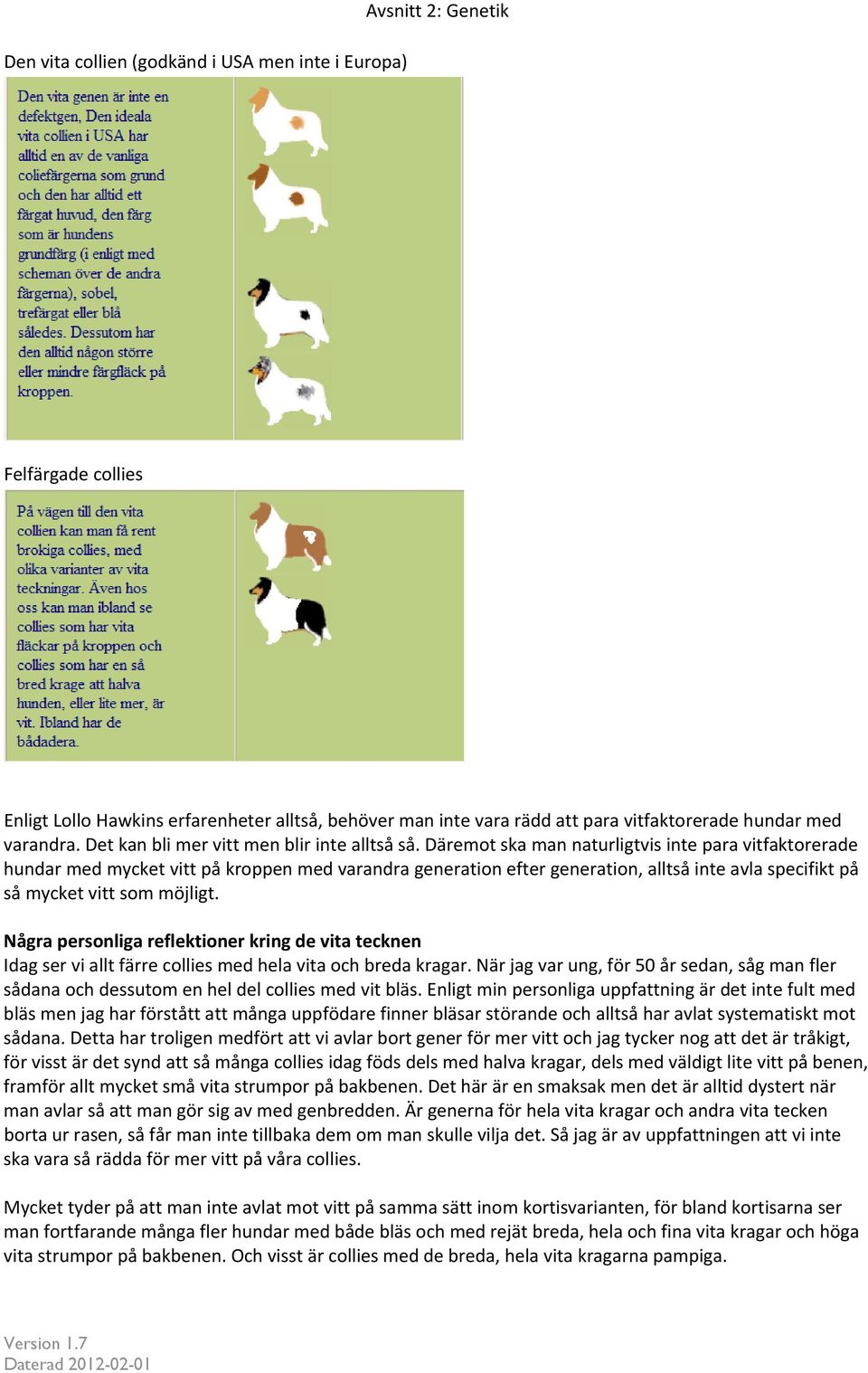 Däremot ska man naturligtvis inte para vitfaktorerade hundar med mycket vitt på kroppen med varandra generation efter generation, alltså inte avla specifikt på så mycket vitt som möjligt.