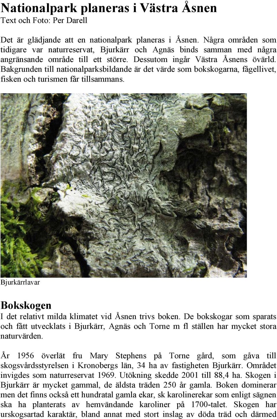 Bakgrunden till nationalparksbildande är det värde som bokskogarna, fågellivet, fisken och turismen får tillsammans. Bjurkärrlavar Bokskogen I det relativt milda klimatet vid Åsnen trivs boken.