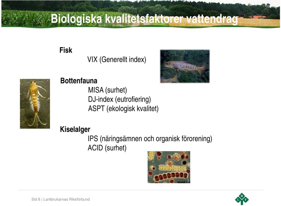 ASPT (ekologisk kvalitet) Kiselalger IPS (näringsämnen och