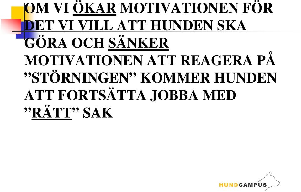 KOMMER HUNDEN ATT FORTSÄTTA JOBBA MED RÄTT SAK OFTAST