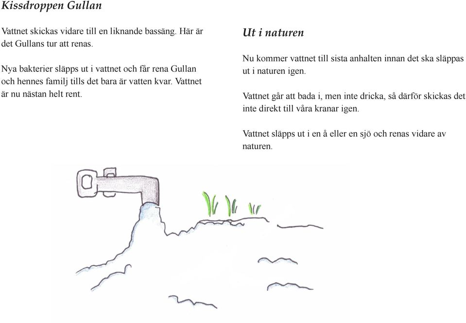 Vattnet är nu nästan helt rent. Ut i naturen Nu kommer vattnet till sista anhalten innan det ska släppas ut i naturen igen.