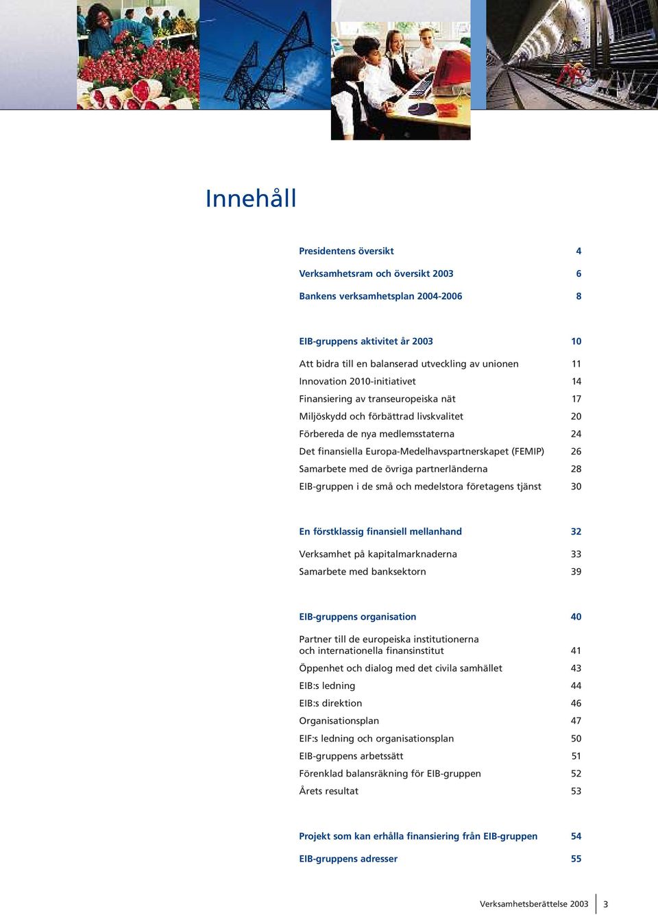 (FEMIP) 26 Samarbete med de övriga partnerländerna 28 EIB-gruppen i de små och medelstora företagens tjänst 30 En förstklassig finansiell mellanhand 32 Verksamhet på kapitalmarknaderna 33 Samarbete