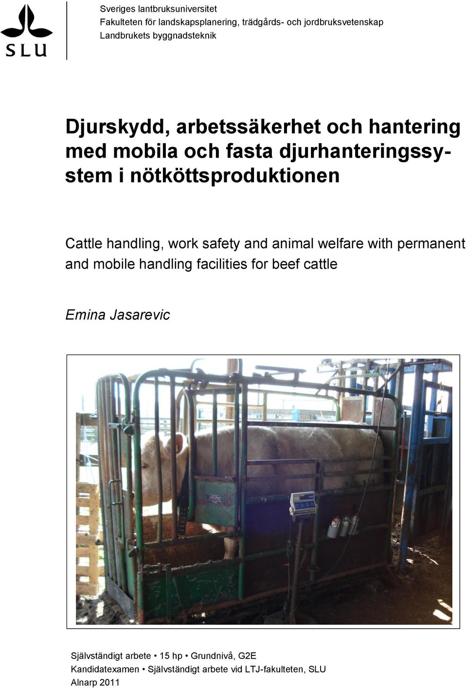 nötköttsproduktionen Cattle handling, work safety and animal welfare with permanent and mobile handling facilities