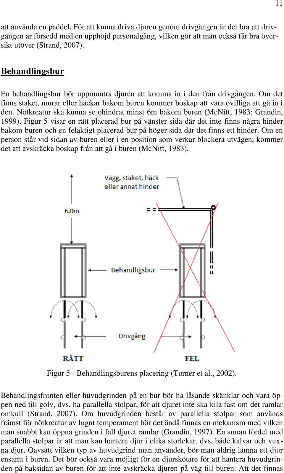 Nötkreatur ska kunna se ohindrat minst 6m bakom buren (McNitt, 1983; Grandin, 1999).