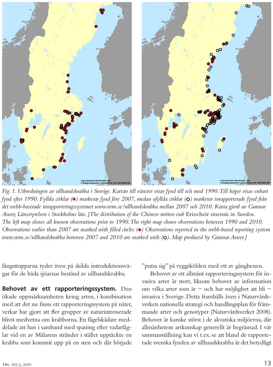 Karta gjord av Gunnar Aneer, Länsstyrelsen i Stockholms län. [The distribution of the Chinese mitten crab Eriocheir sinensis in Sweden. The left map shows all known observations prior to 1990.