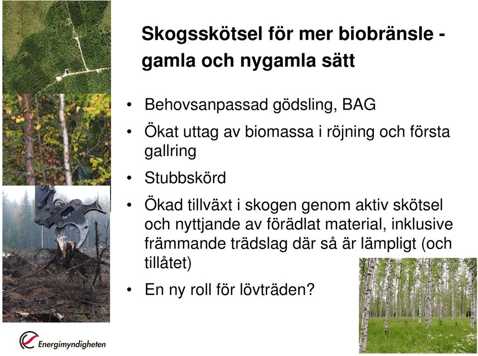 Ökad tillväxt i skogen genom aktiv skötsel och nyttjande av förädlat material,