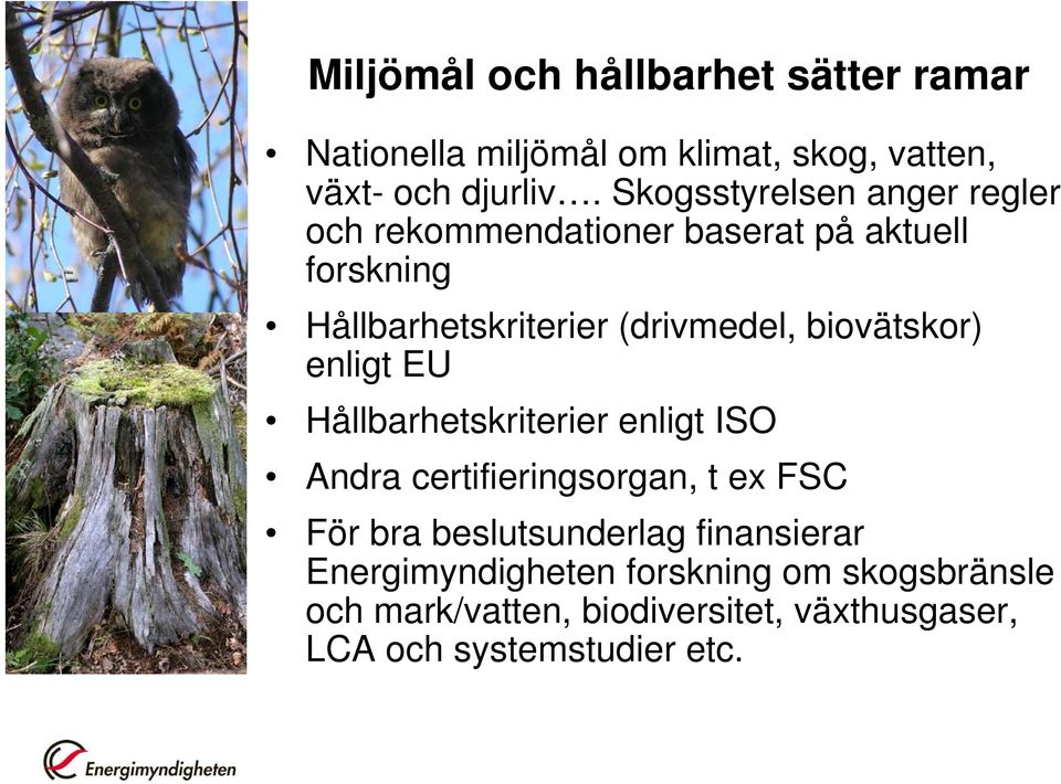 biovätskor) enligt EU Hållbarhetskriterier enligt ISO Andra certifieringsorgan, t ex FSC För bra beslutsunderlag