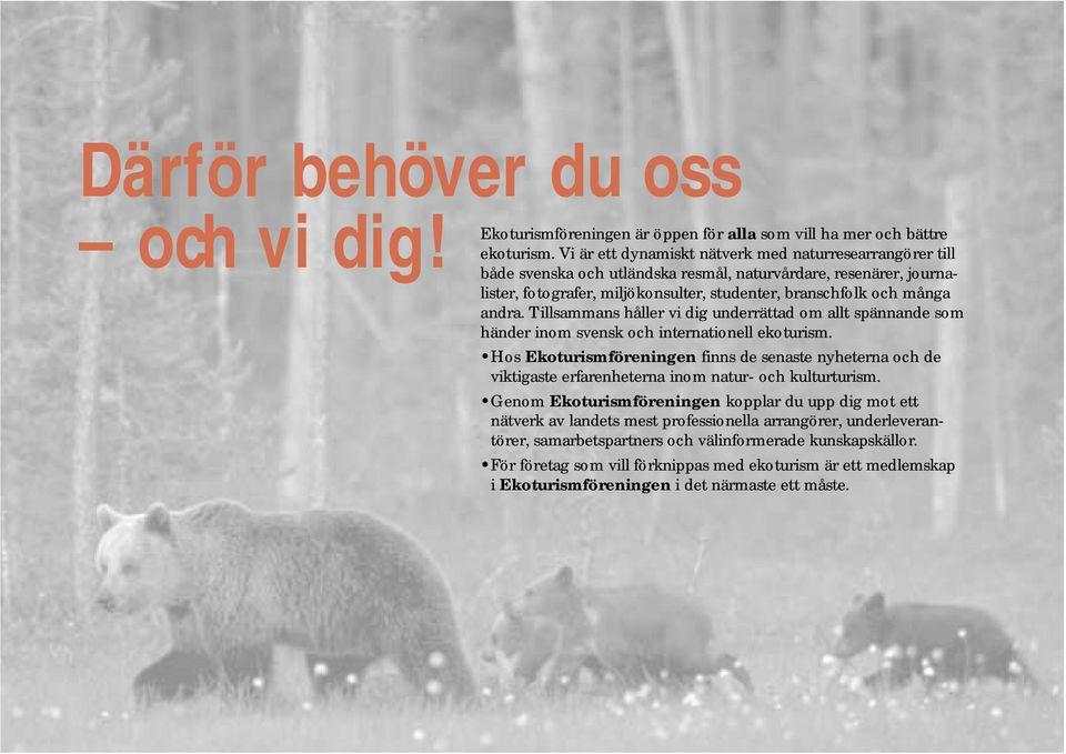 Tillsammans håller vi dig underrättad om allt spännande som händer inom svensk och internationell ekoturism.