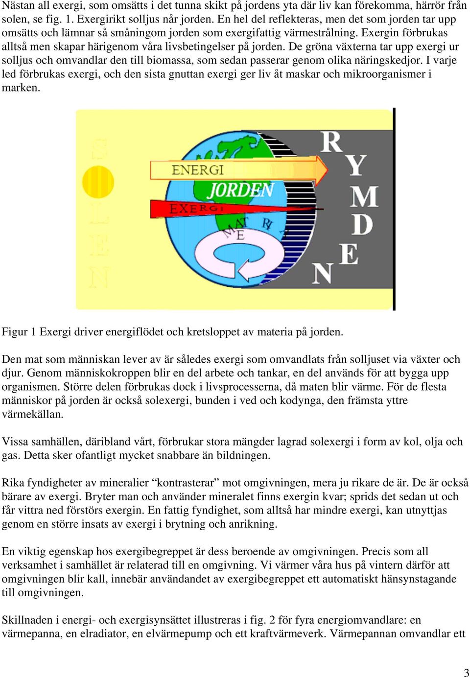 De gröna växterna tar upp exergi ur solljus och omvandlar den till biomassa, som sedan passerar genom olika näringskedjor.