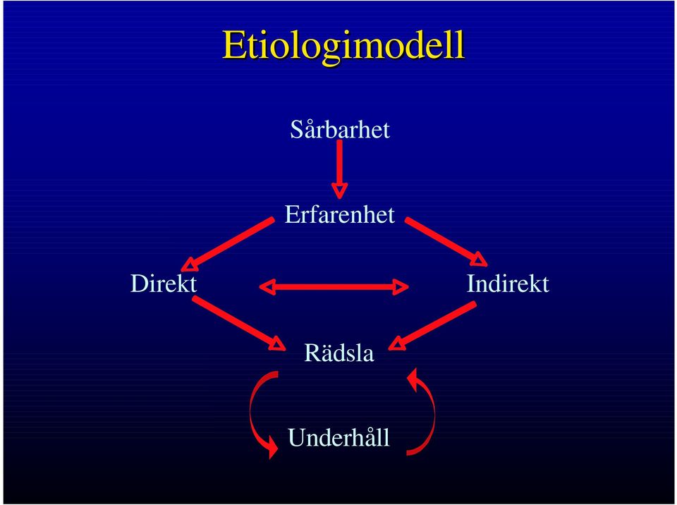 Erfarenhet