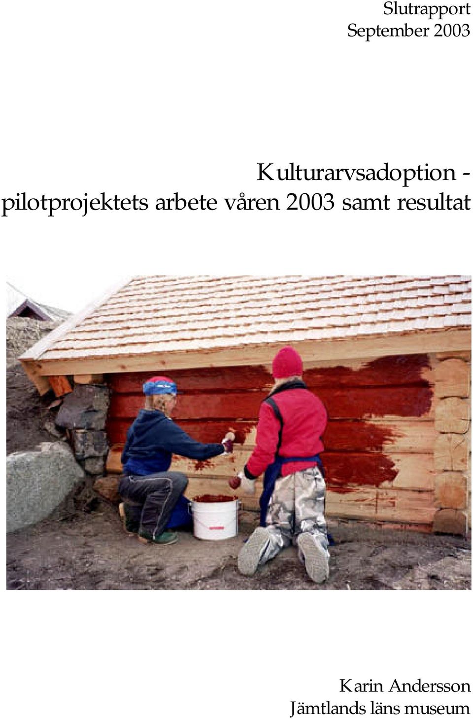 pilotprojektets arbete våren 2003