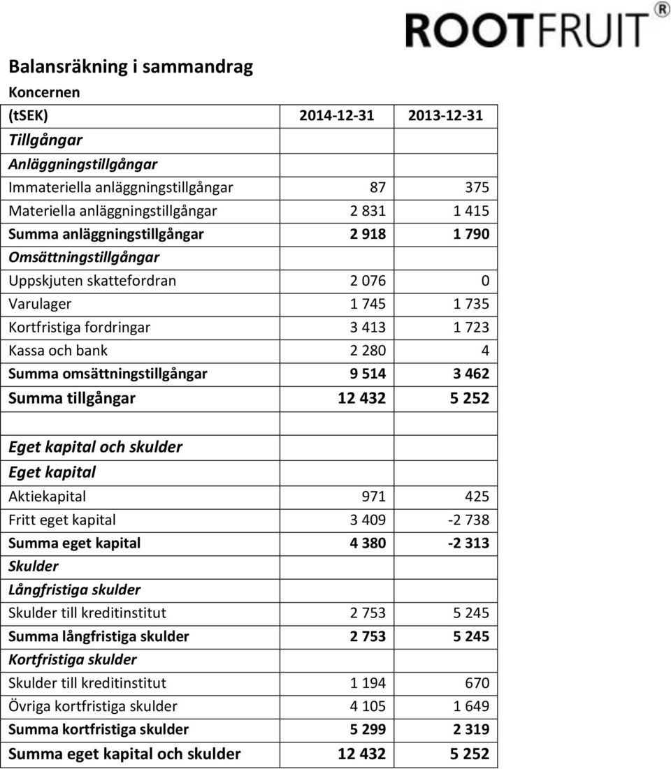 514 3 462 Summa tillgångar 12 432 5 252 Eget kapital och skulder Eget kapital Aktiekapital 971 425 Fritt eget kapital 3 409-2 738 Summa eget kapital 4 380-2 313 Skulder Långfristiga skulder Skulder