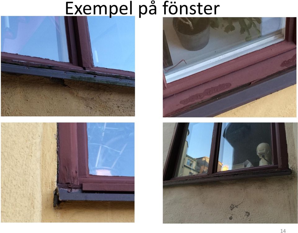 fönster