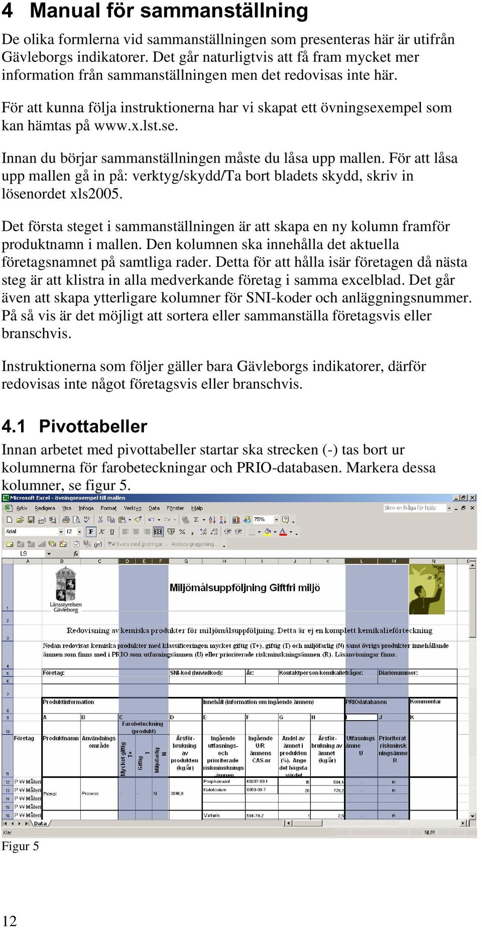 se. Innan du börjar sammanställningen måste du låsa upp mallen. För att låsa upp mallen gå in på: verktyg/skydd/ta bort bladets skydd, skriv in lösenordet xls2005.