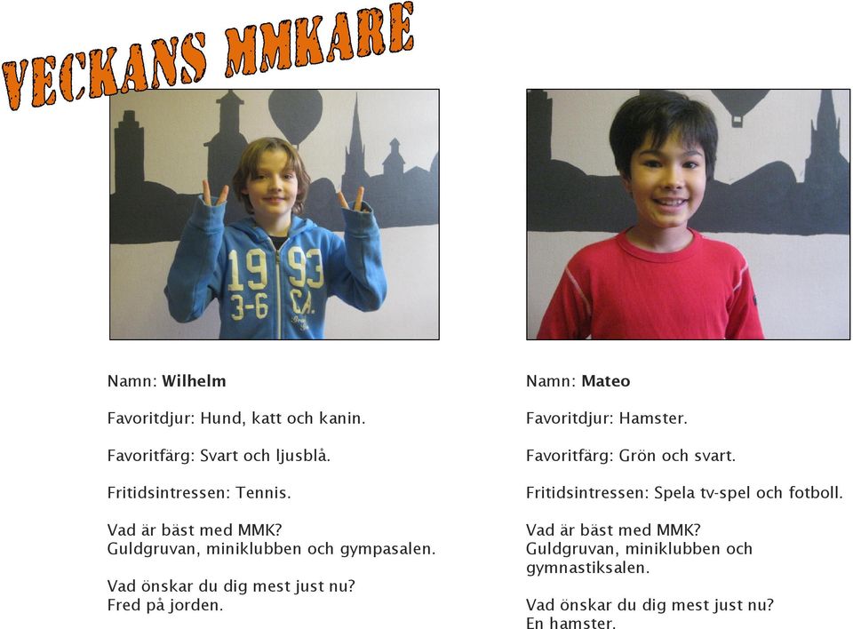 Namn: Mateo Favoritdjur: Hamster. Favoritfärg: Grön och svart. Fritidsintressen: Spela tv-spel och fotboll.